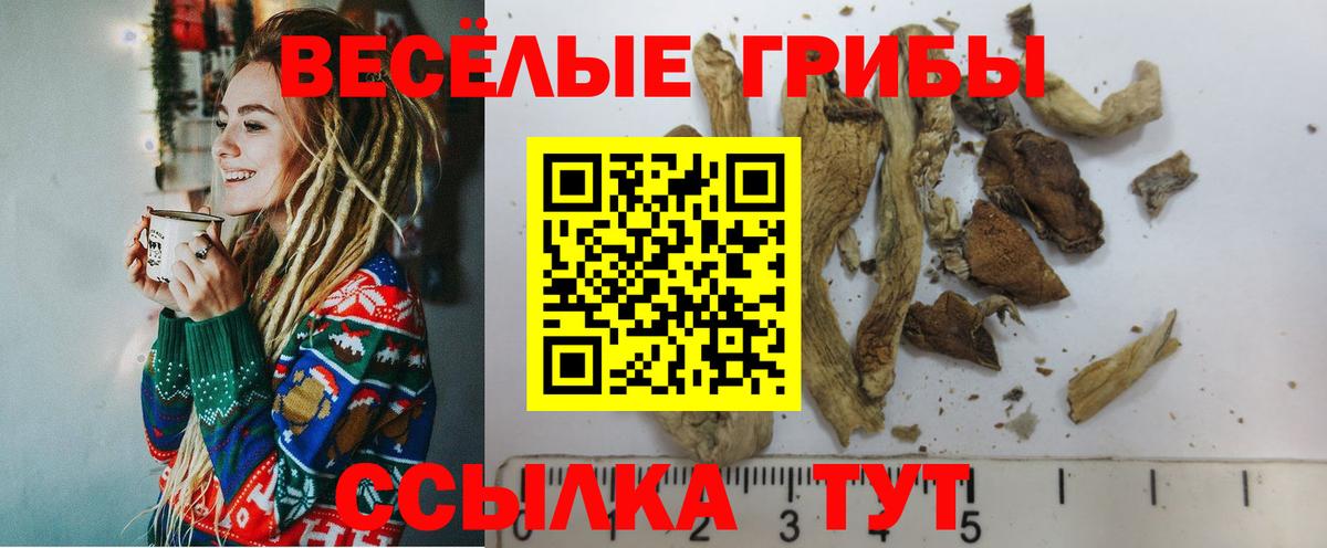 Псилоцибиновые грибы GOLDEN TEACHER  Вход с VPN  Георгиевск  Галлюциногенные грибы Magic Shrooms 
